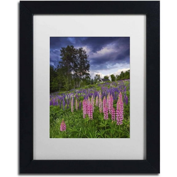 Trademark Fine Art 'Lupines on the Hill' Canvas Art by Michael Blanchette Photography, White Matte, Black Frame
