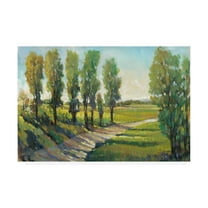 Trademark Fine Art 'Lush Landscape I' Canvas Art by Tim OToole