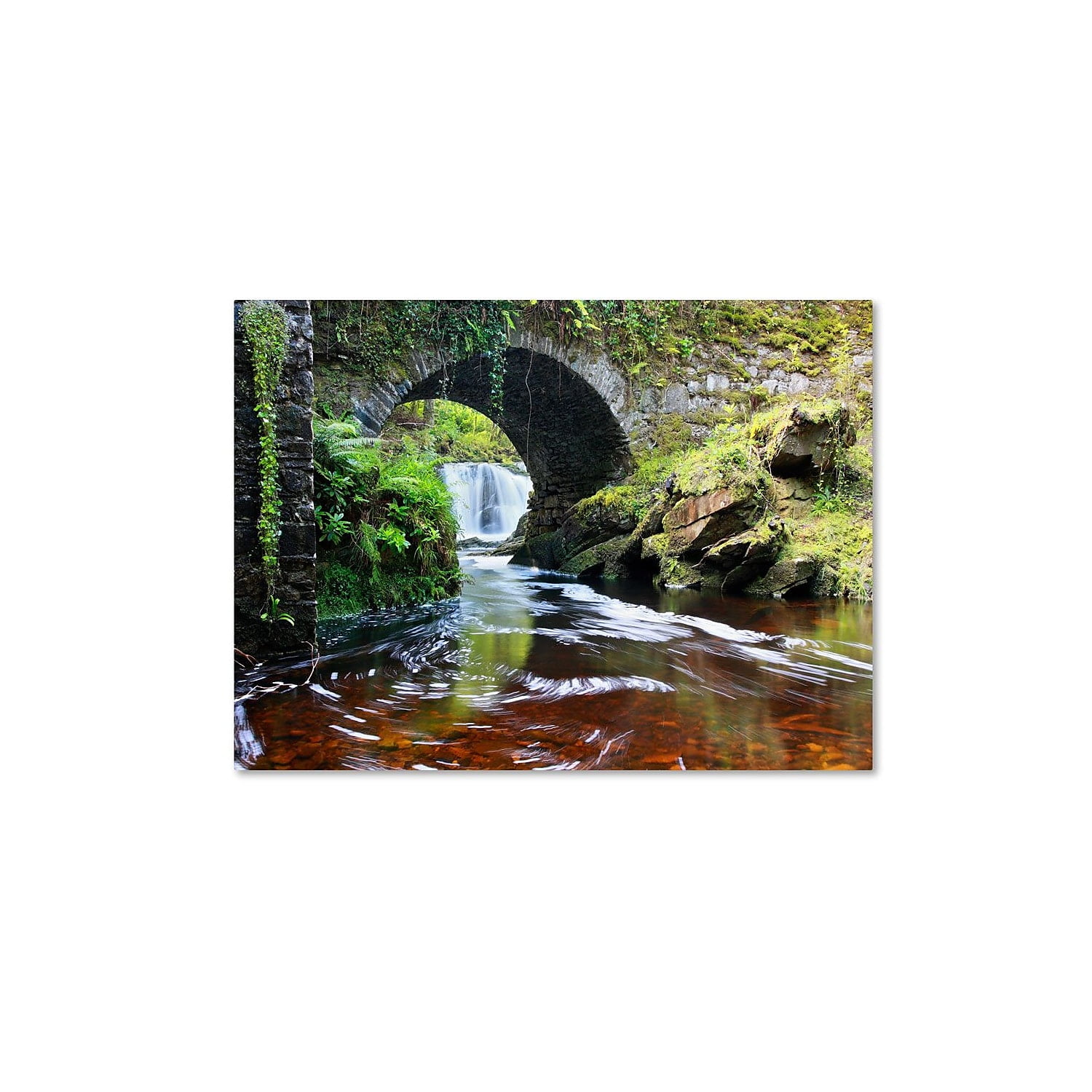 Trademark Fine Art "Lush River" Canvas Art by Pierre Leclerc