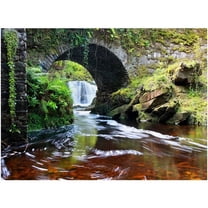 Trademark Fine Art "Lush River" Canvas Art by Pierre Leclerc