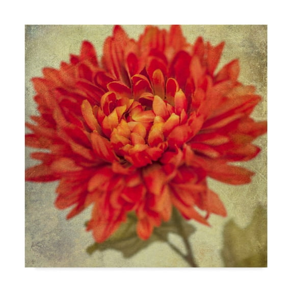 Trademark Fine Art 'Lush Vintage Florals III' Canvas Art by Honey Malek