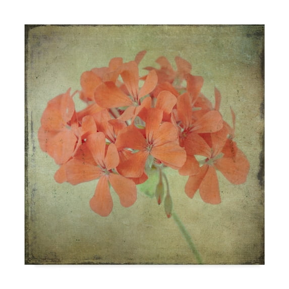 Trademark Fine Art 'Lush Vintage Florals IX' Canvas Art by Honey Malek