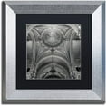 thumbnail image 1 of Trademark Fine Art "Lyon I" Canvas Art by Alan Blaustein, Black Matte, Silver Frame, 1 of 4