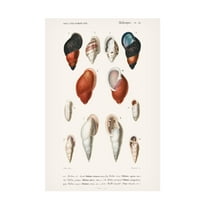 Trademark Fine Art M. Charles D'Orbigny D'Orbigny Sealife III Canvas Wall Art