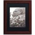 thumbnail image 1 of Trademark Fine Art "MLK Blossoms" Canvas Art by CATeyes, Black Matte, Wood Frame, 1 of 1