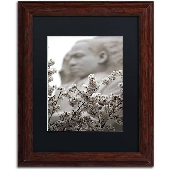 Trademark Fine Art "MLK Blossoms" Canvas Art by CATeyes, Black Matte, Wood Frame
