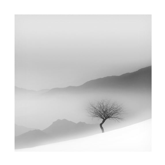 Trademark Fine Art MOSTAFA NODEH Cold Canvas Wall Art