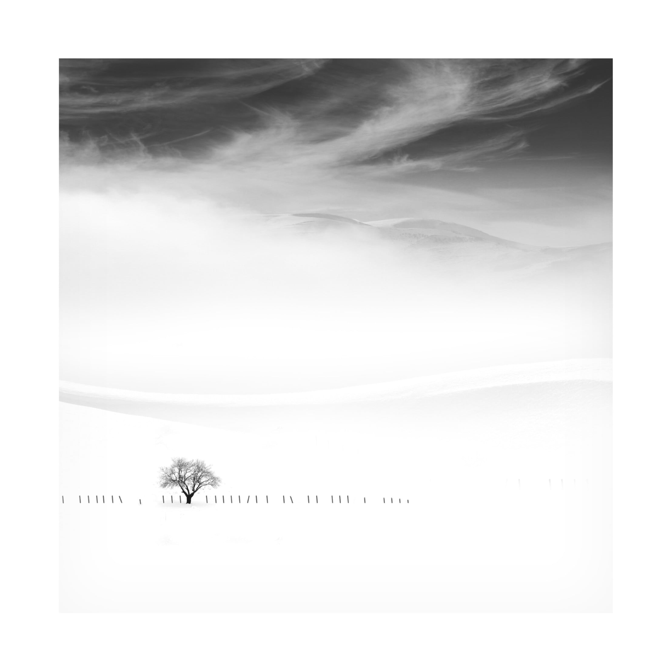Trademark Fine Art MOSTAFA NODEH Poems Of Silence Canvas Wall Art