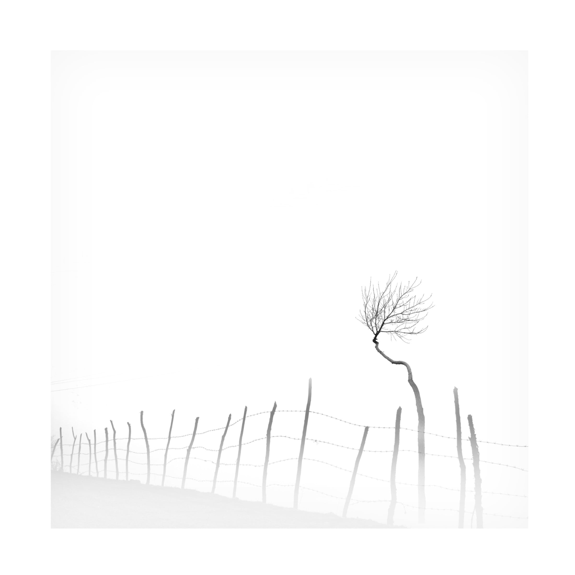 Trademark Fine Art MOSTAFA NODEH Silence Canvas Wall Art