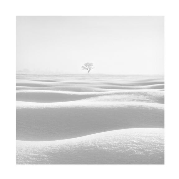 Trademark Fine Art MOSTAFA NODEH  Wave Canvas Wall Art