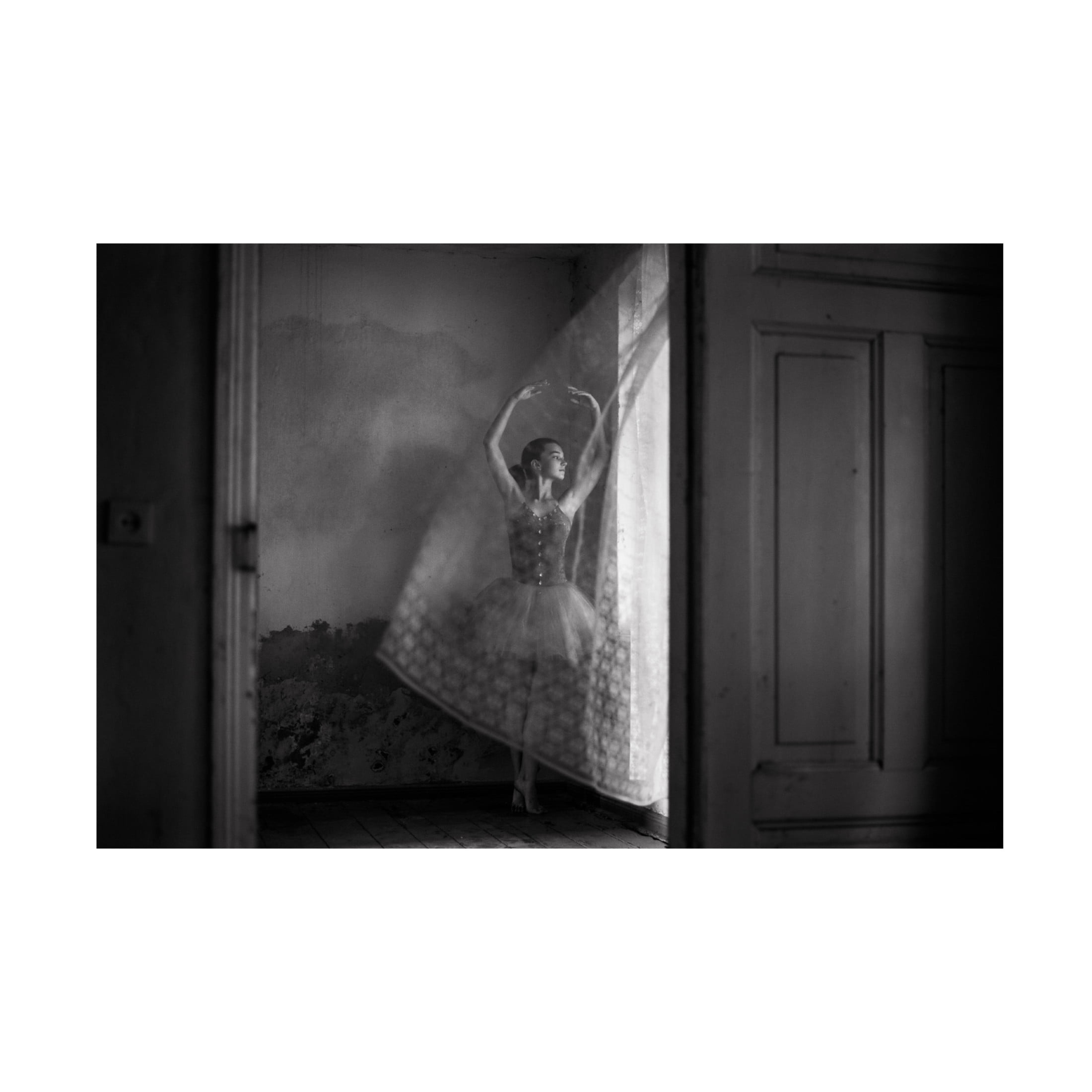 Trademark Fine Art Ma?gorzata Masarz Untitled Canvas Wall Art
