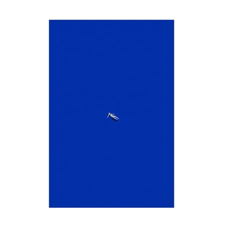 Trademark Fine Art Maarten Leon No Stress Canvas Wall Art