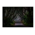 thumbnail image 1 of Trademark Fine Art 'Magic Road' Canvas Art by Piotr Galus, 1 of 3