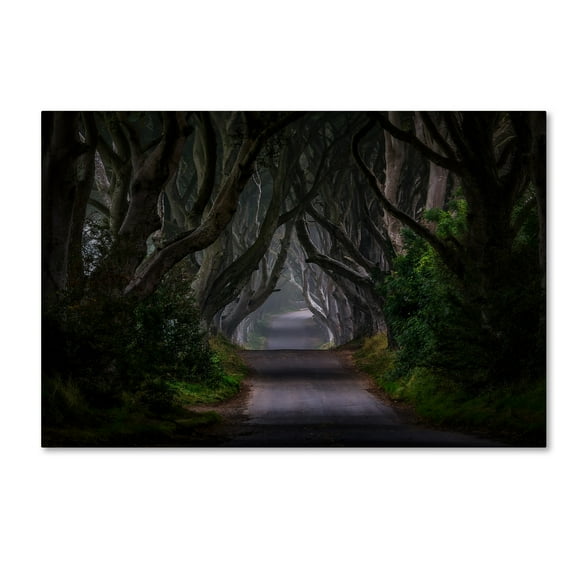 Trademark Fine Art 'Magic Road' Canvas Art by Piotr Galus