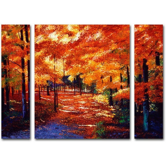 Trademark Fine Art ''Magical Forest'' by David Lloyd Glover 30" x 41" Multi Panel Art Set Large (886511916562)