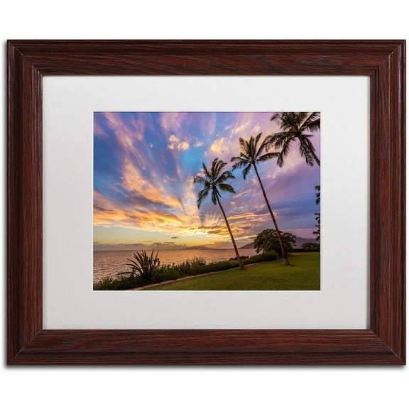 Trademark Fine Art 'Magical Hawaiian Sky' Canvas Art by Pierre Leclerc, White Matte, Wood Frame