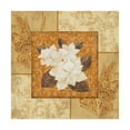 thumbnail image 1 of Trademark Fine Art 'Magnolia 2 Beige' Canvas Art by Pablo Esteban, 1 of 3