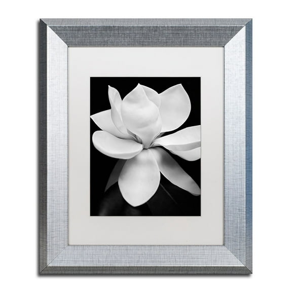 Trademark Fine Art "Magnolia" Canvas Art by Michael Harrison White Matte, Silver Frame