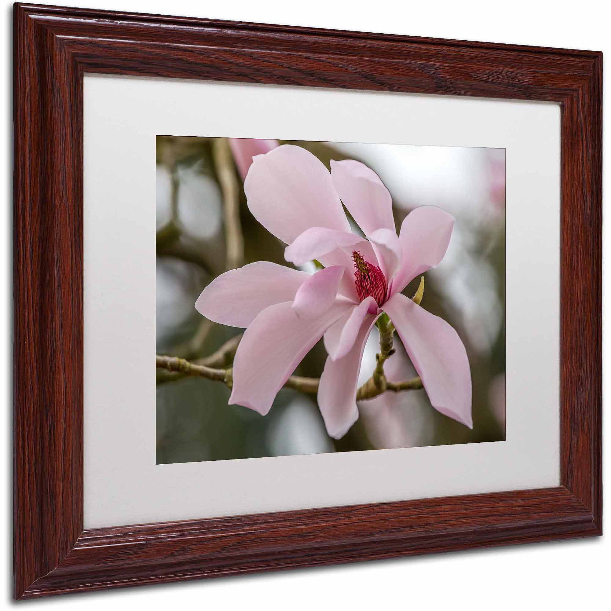 Trademark Fine Art "Magnolia" Canvas Art by Pierre Leclerc, White Matte/Wood Frame