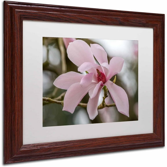 Trademark Fine Art "Magnolia" Canvas Art by Pierre Leclerc, White Matte/Wood Frame