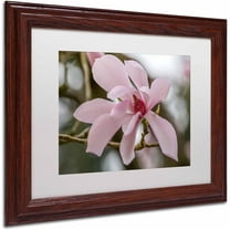 Trademark Fine Art "Magnolia" Canvas Art by Pierre Leclerc, White Matte/Wood Frame