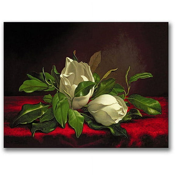 Trademark Fine Art "Magnolia" Canvas Wall Art by Martin Heade