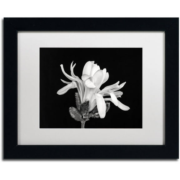 Trademark Fine Art 'Magnolia Flower' Canvas Art by Pierre Leclerc, White Matte, Black Frame