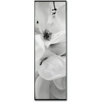 Trademark Fine Art "Magnolia I" Canvas Art by Alan Blaustein