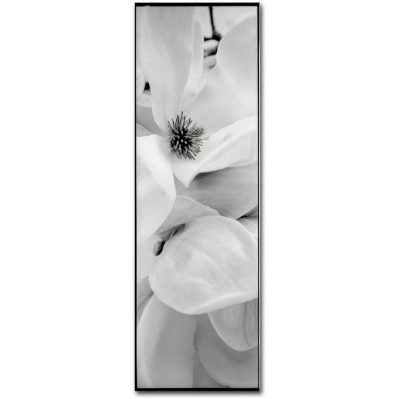 Trademark Fine Art "Magnolia I" Canvas Art by Alan Blaustein