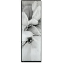 Trademark Fine Art "Magnolia II" Canvas Art by Alan Blaustein