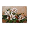thumbnail image 1 of Trademark Fine Art ' Magnolia Inspiration' Canvas Art by Barbara Mock, 1 of 3