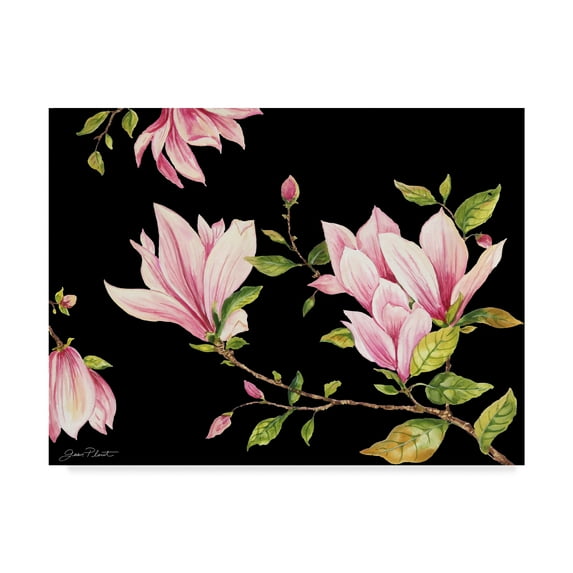 Trademark Fine Art 'Magnolia On Black' Canvas Art by Jean Plout