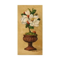 Trademark Fine Art ' Magnolia Topiary' Canvas Art by Barbara Mock