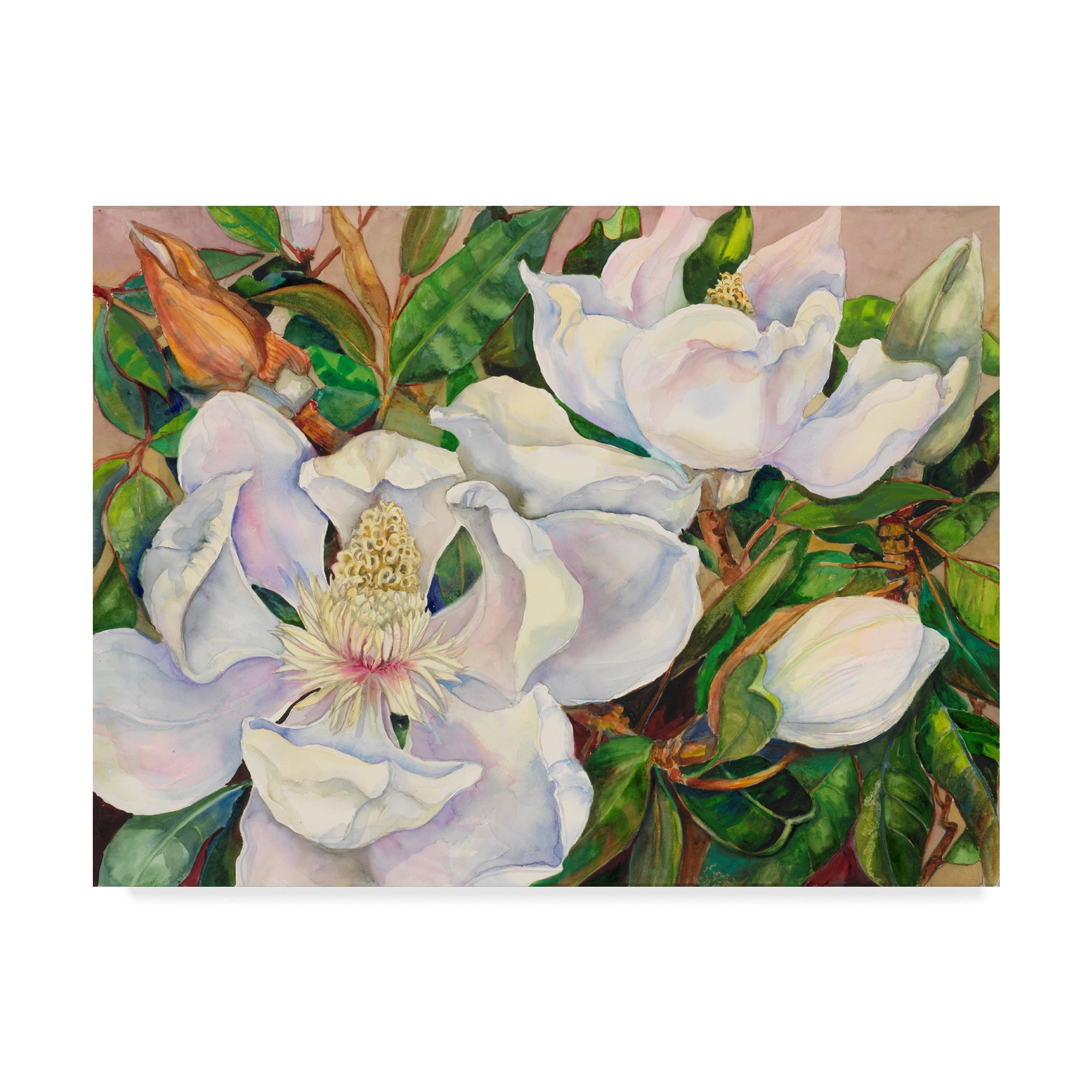 Trademark Fine Art 'Magnolia Tree' Canvas Art by Joanne Porter