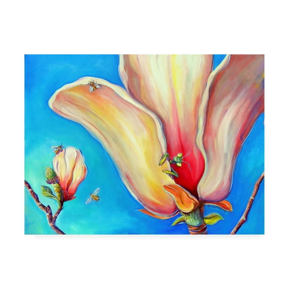 Trademark Fine Art 'Magnolia mantis' Canvas Art by Deborah Broughton