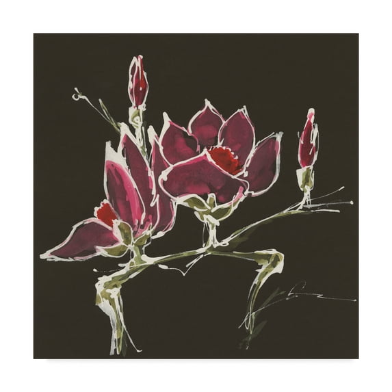Trademark Fine Art 'Magnolia on Black III' Canvas Art by Chris Paschke