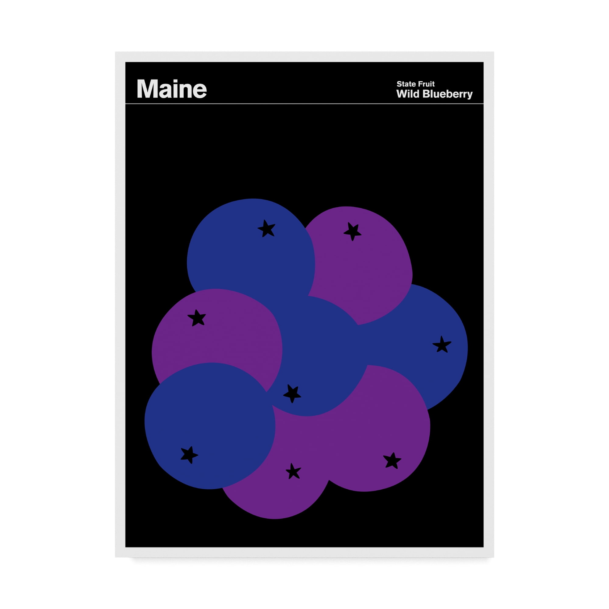 Trademark Fine Art 'Maine Wild Blueberry' Canvas Art by Print Collection - Artist