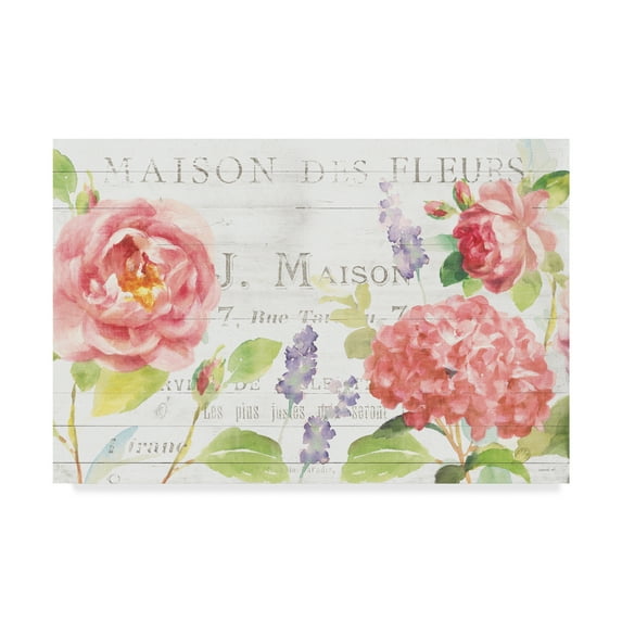 Trademark Fine Art 'Maison Des Fleurs I' Canvas Art by Danhui Nai