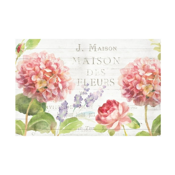 Trademark Fine Art 'Maison Des Fleurs II' Canvas Art by Danhui Nai