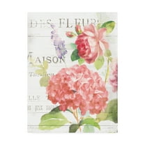 Trademark Fine Art 'Maison Des Fleurs IV' Canvas Art by Danhui Nai