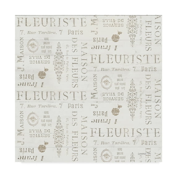 Trademark Fine Art 'Maison Des Fleurs Pattern V' Canvas Art by Danhui Nai