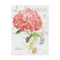 Trademark Fine Art 'Maison des Fleurs VI' Canvas Art by Danhui Nai