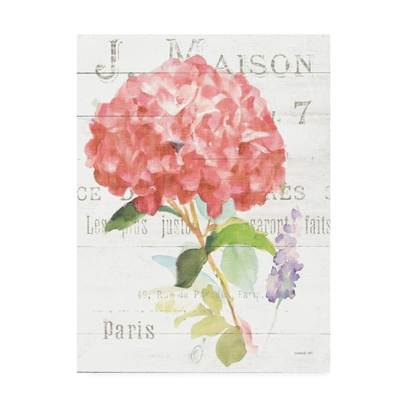 Trademark Fine Art 'Maison des Fleurs VI' Canvas Art by Danhui Nai