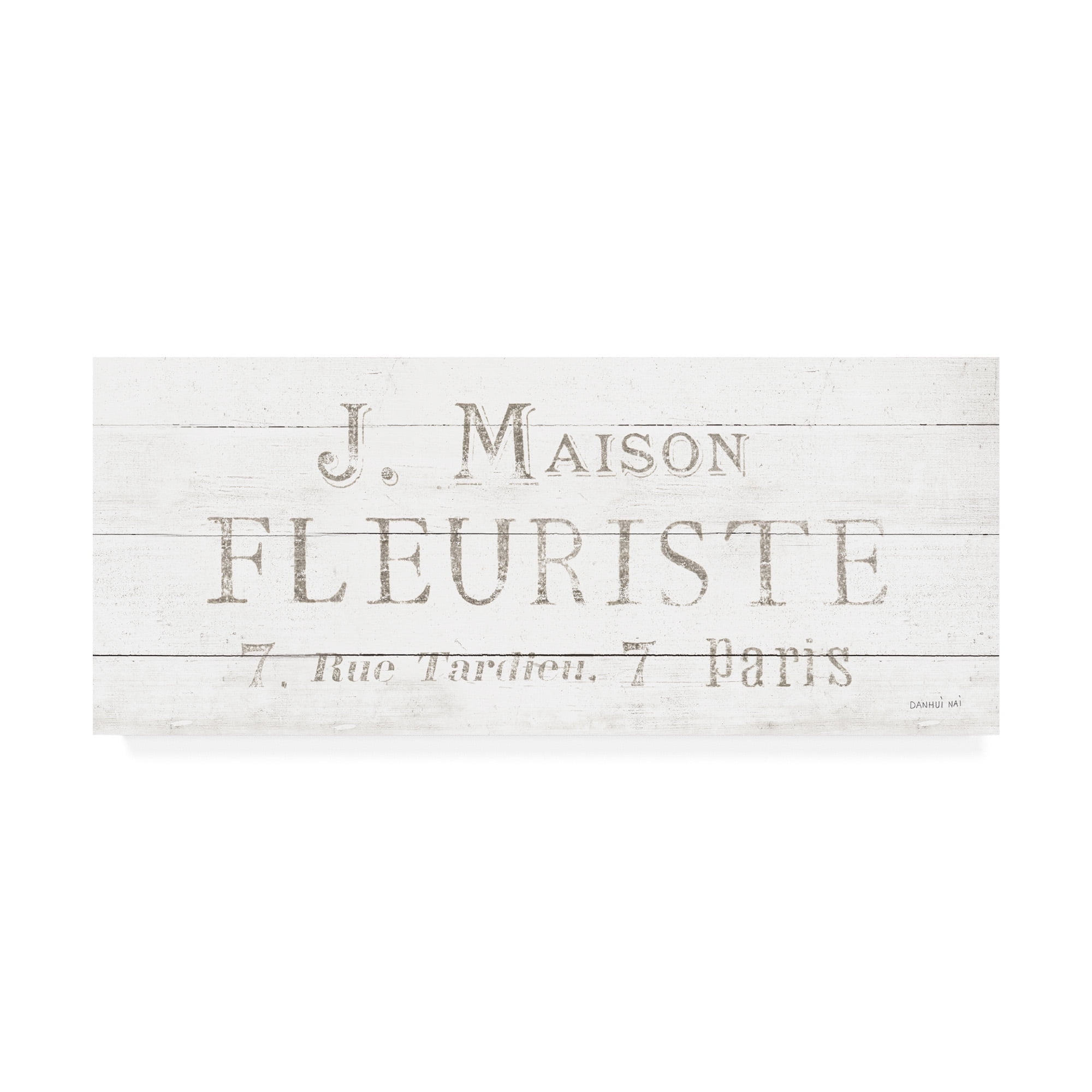 Trademark Fine Art 'Maison des Fleurs X' Canvas Art by Danhui Nai