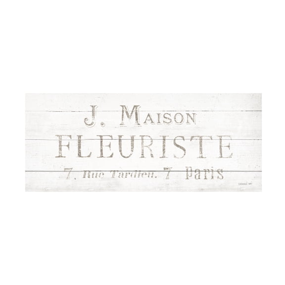 Trademark Fine Art 'Maison des Fleurs X' Canvas Art by Danhui Nai