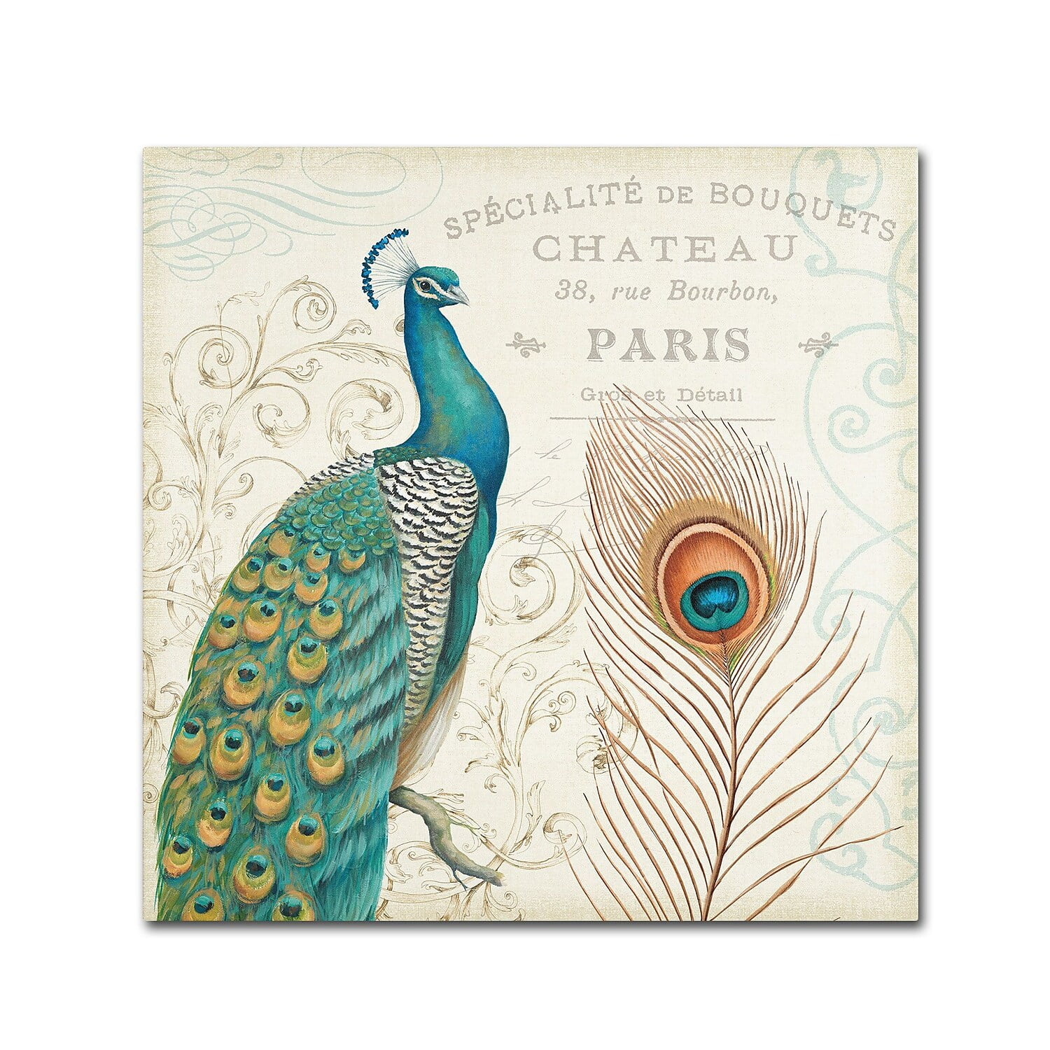 Trademark Fine Art "Majestic Beauty I Square" Canvas Art by Daphne Brissonnet