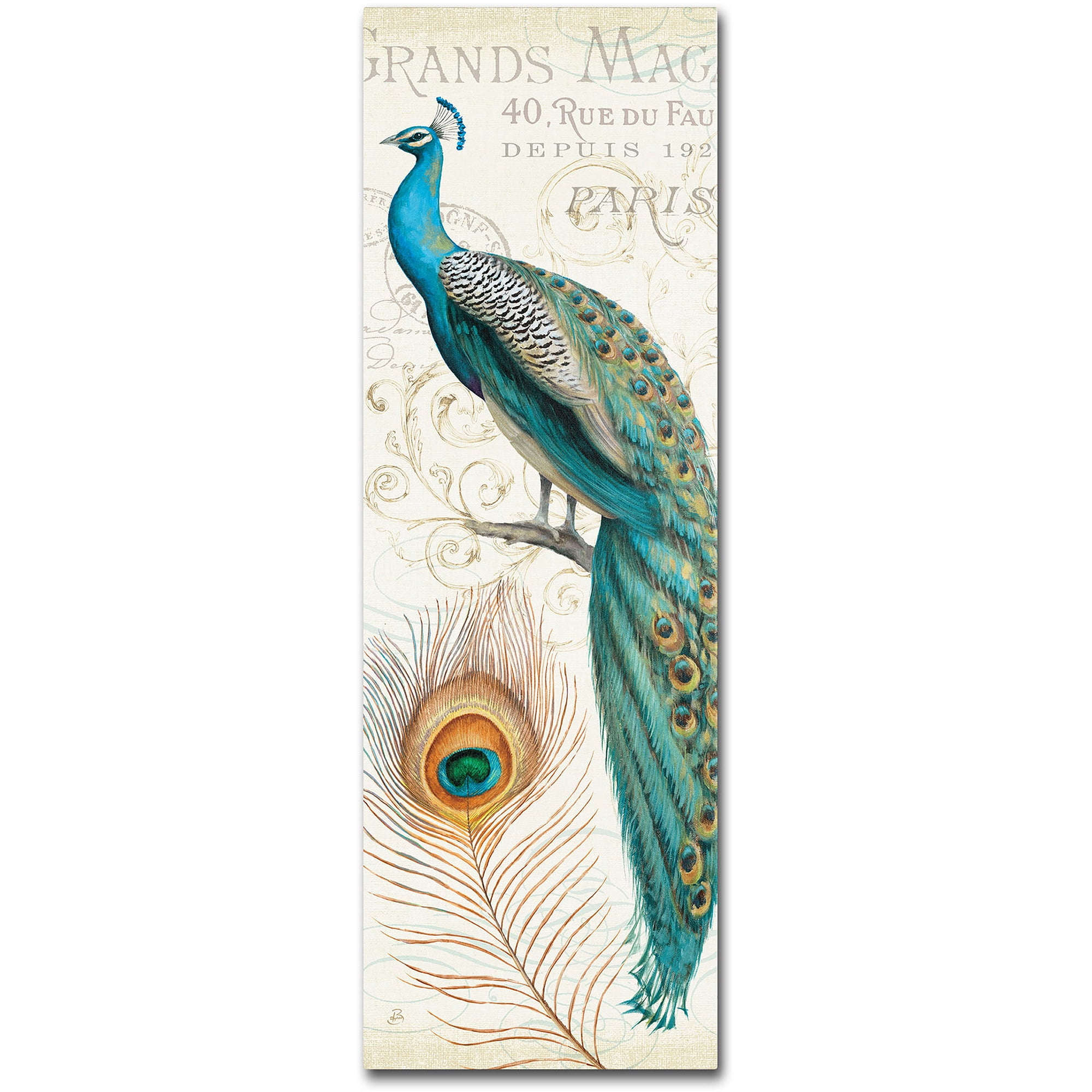 Trademark Fine Art "Majestic Beauty II" Canvas Art by Daphne Brissonnet