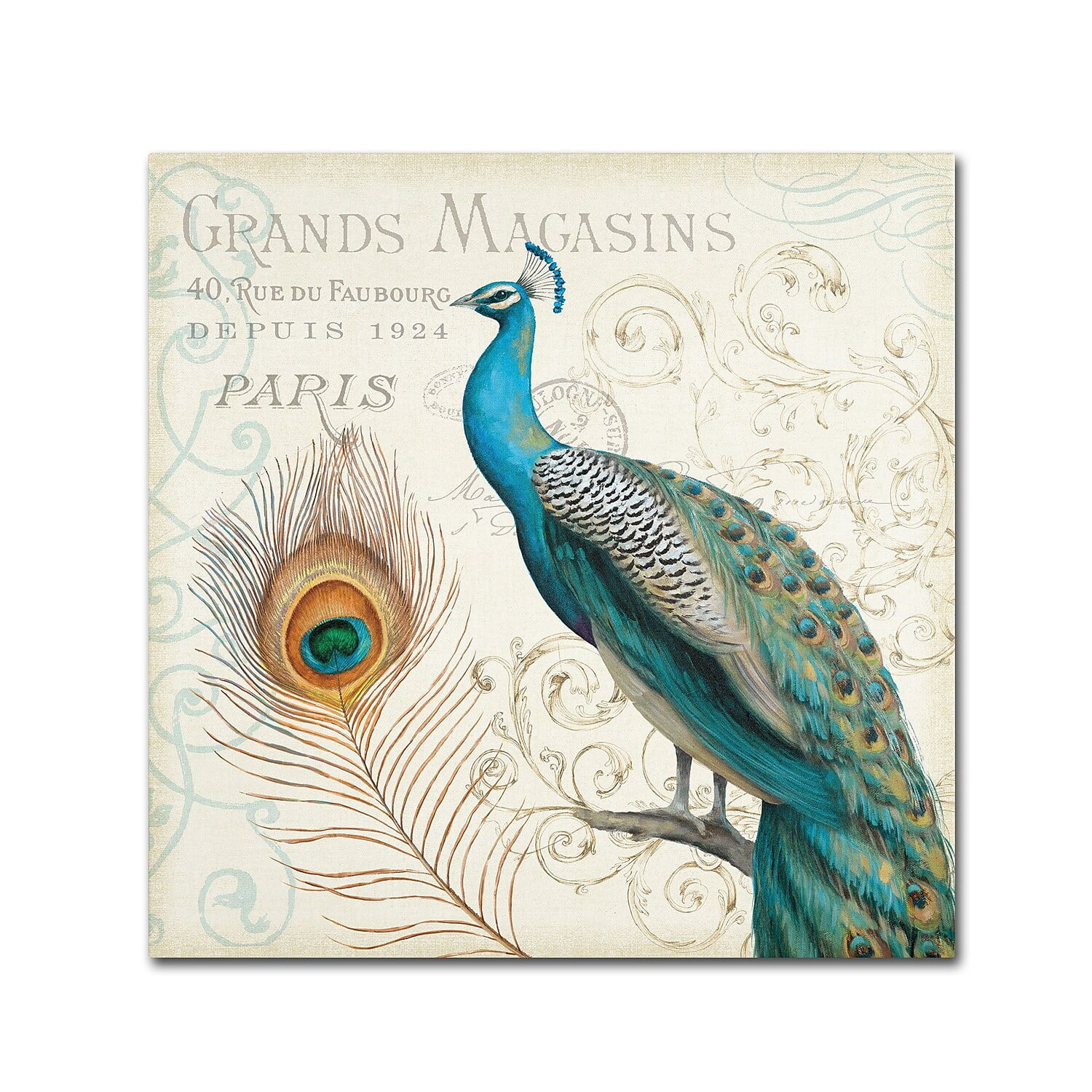 Trademark Fine Art "Majestic Beauty II Square" Canvas Art by Daphne Brissonnet