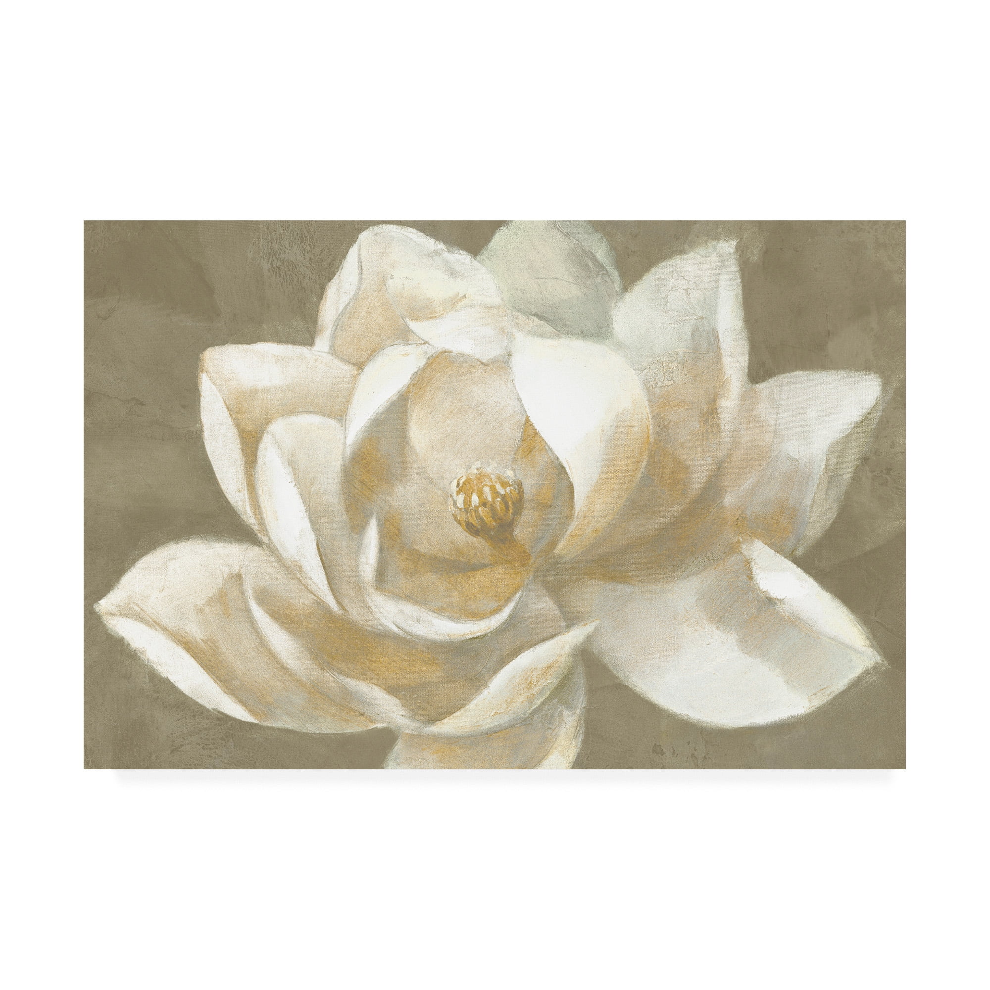 Trademark Fine Art 'Majestic Beige' Canvas Art by Albena Hristova