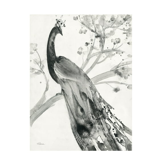 Trademark Fine Art 'Majestic Peacock' Canvas Art by Albena Hristova